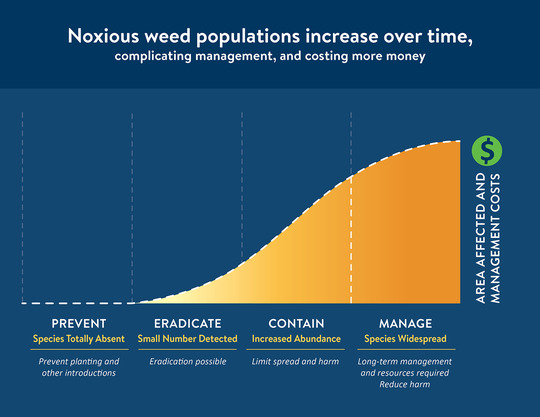 Noxious weed populations increase over time, complicating management, and costing more money. The graphic is a graph showing this concept. 