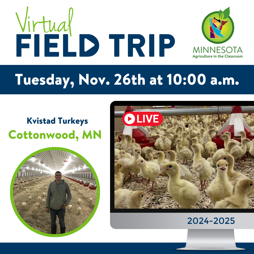 Turkey Farm Virtual Field Trip