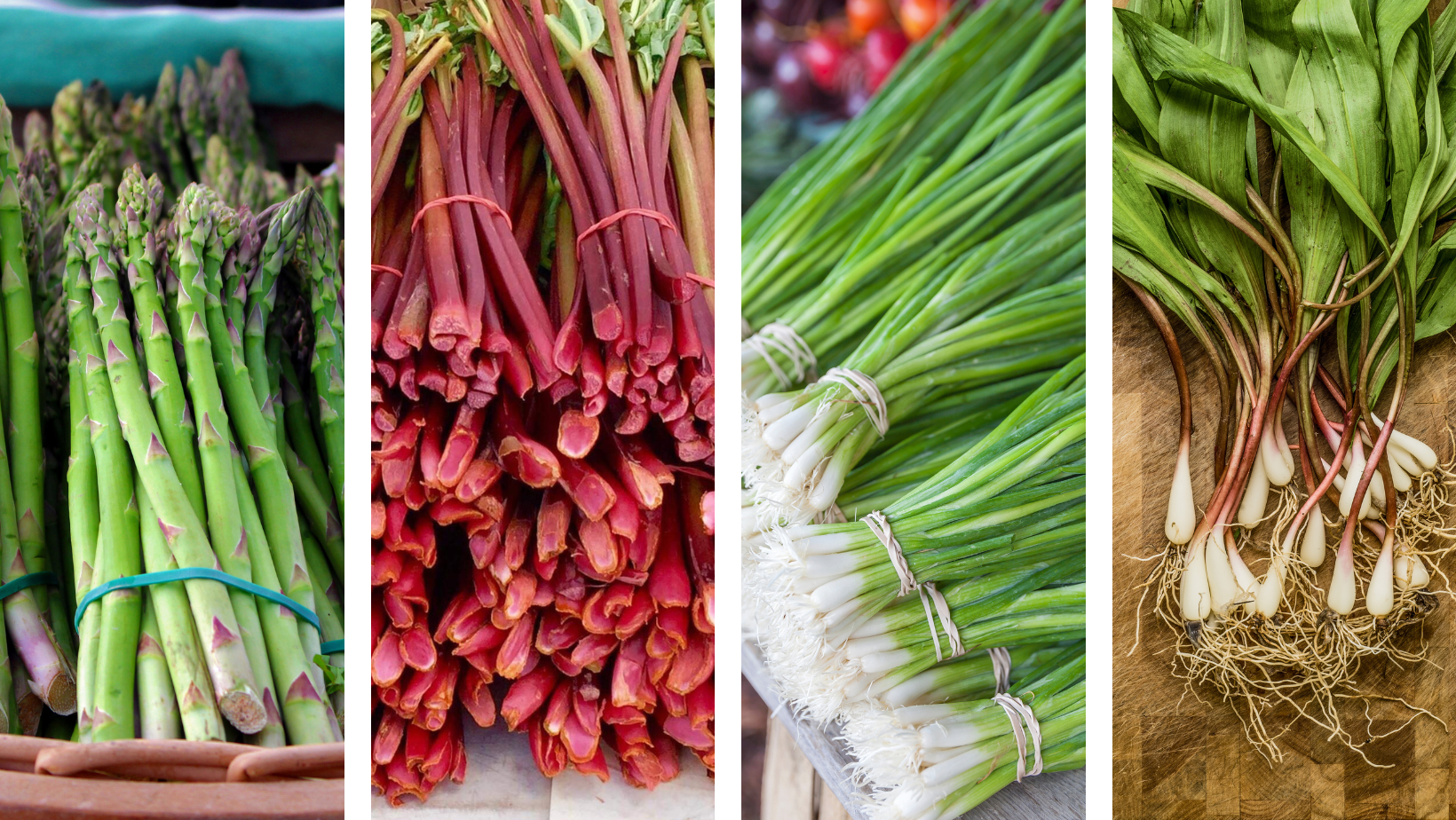 🌱 Meet the Early Risers of the Veggie World!