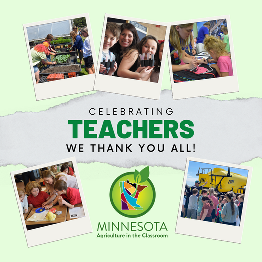 Thank you teachers graphic