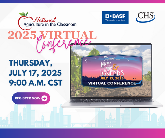 2025 virtual conference