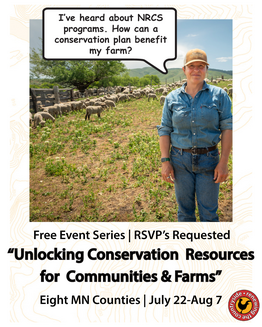 Person standing in field next to sheep