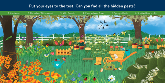 garden scene with pests