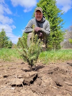 Scott Wilson and a Christmas Tree