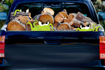 bugs in back of truck with firewood