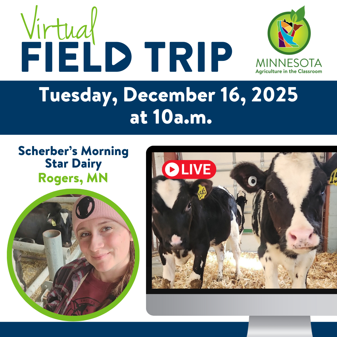 Dairy Virtual Field Trip