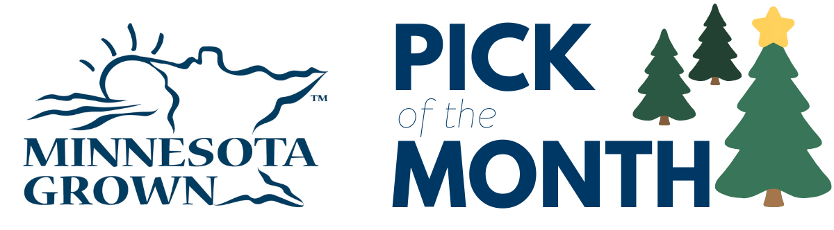 christmas trees pom banner