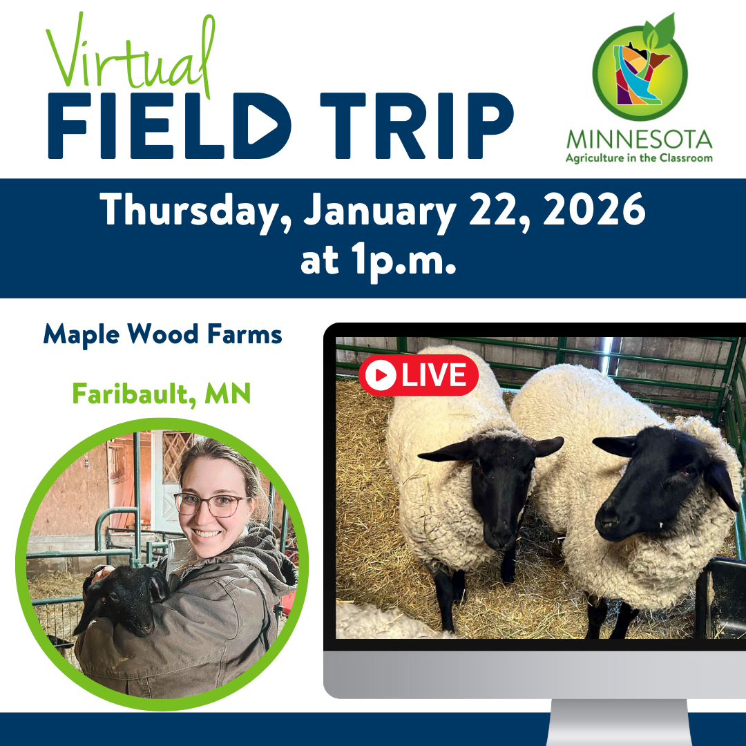 Sheep Farm Virtual Field Trip