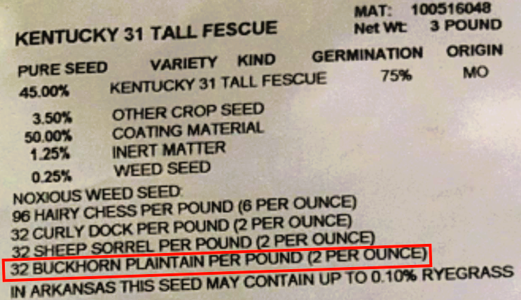 The seed label shows a restricted noxious weed (Buckhorn plantain) exceeding Minnesota limits, which triggers enforcement action.
