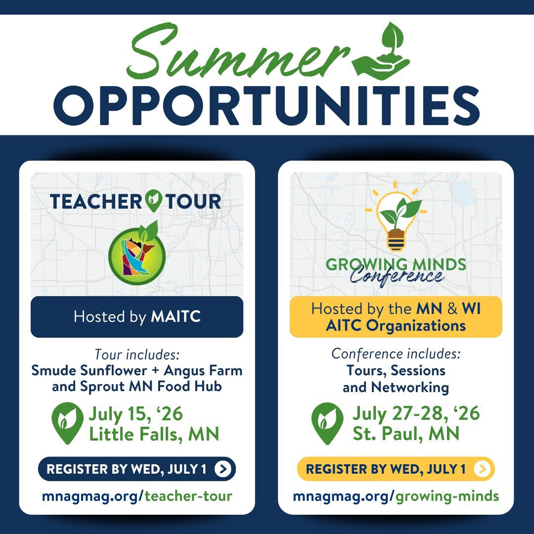 Summer Opportunities 2026