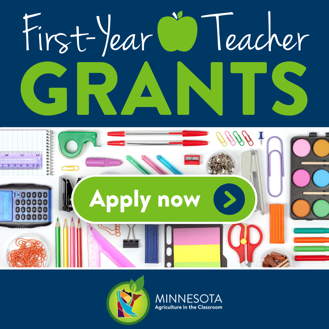 First year teacher grants