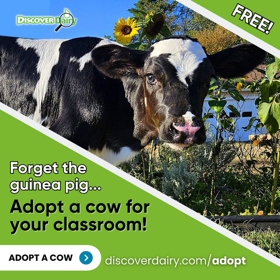 Discover Dairy Adopt a Cow