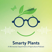 Smarty plants logo face with glasses, leaf hair ,and insect above