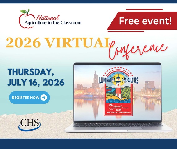 Virtual Conference