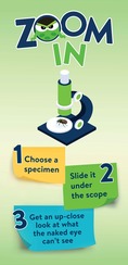 zoom in with microscope and insect and text stating to choose a specimen to view under microscope