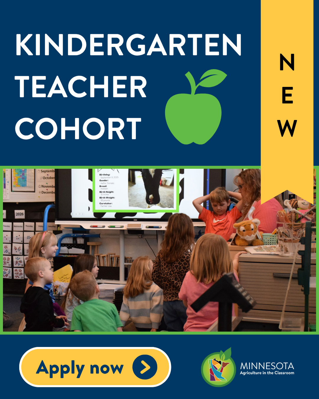 Kindergarten teacher cohort