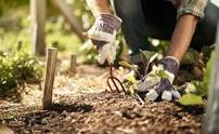 gardening