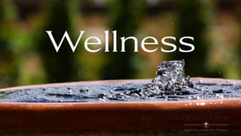 Wellness and a water fountain