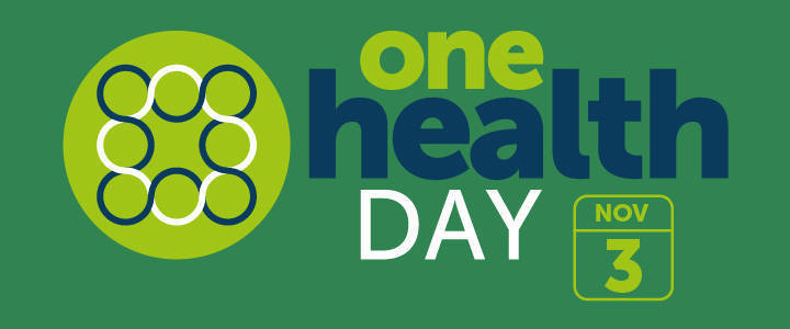 One Health Day link