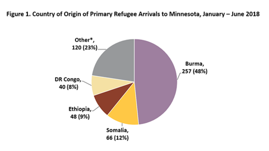 Pie chart of primary refugee arrivals to Minnesota from January to June 2018 by country of origin