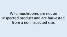Wild Mushroom Disclosure
