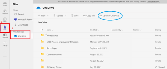 Screenshot of the OneDrive window in Teams