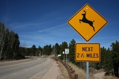 Next two miles look for deer road sign