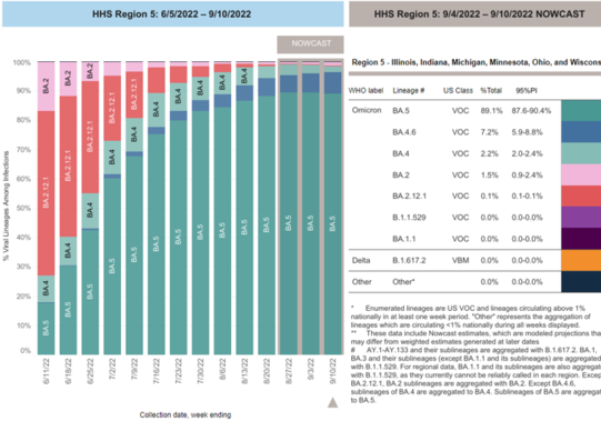CDC variants Region 5 Sept. 2022