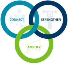 Connect, strengthen, amplify