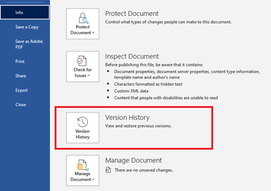 Screenshot of the backstage view in Microsoft Word showing the Version History button outlined in red.