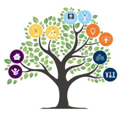 Minnesota Partnership for Adolescent and Young Adult Health tree graphic