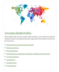 Minnesota Center of Excellence in Newcomer Health website screenshot