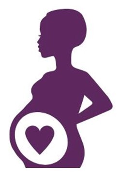 Transforming Maternal Health Model