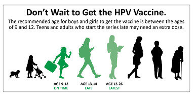 HPV Vaccination Graphic