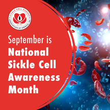 september is sickle cell awareness month overlayed on a depiction of blood cells