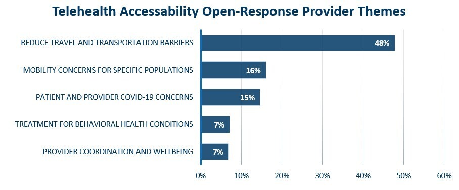 Graphic of Telehealth Accessibility Open-Response Provider Themes