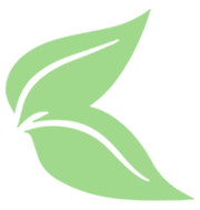 green leaf icon