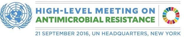 World Health Assembly High-Level Meeting on Antimicrobial Resistance