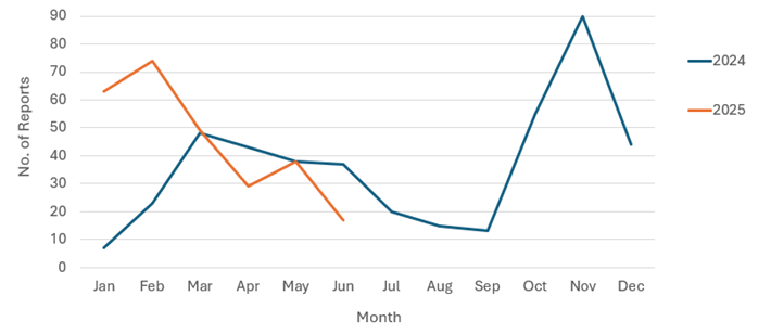 Figure 1. Number of Status Adjusters with LTBI Reported to MDH by Month, January 2024 to June 2025*