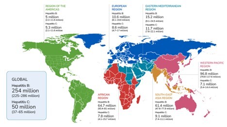 Estimates of the burden of chronic hepatitis B and hepatitis C by WHO region, 2022.