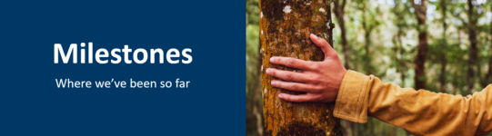 Milestones