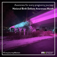 BDAM bridge lighting social media