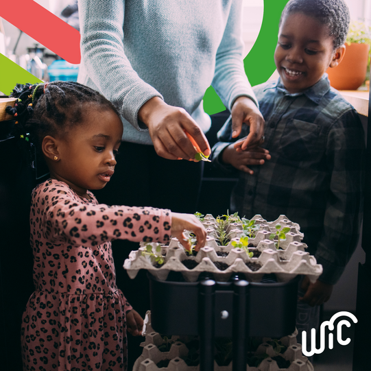 WIC