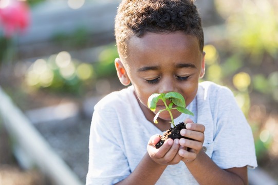 toddler smelling plant