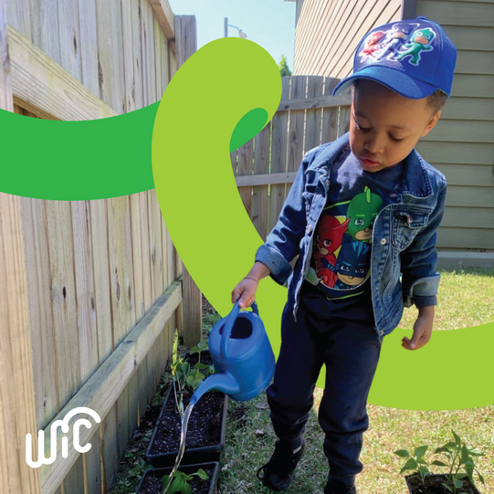 WIC