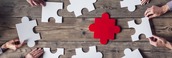 puzzle pieces on table 