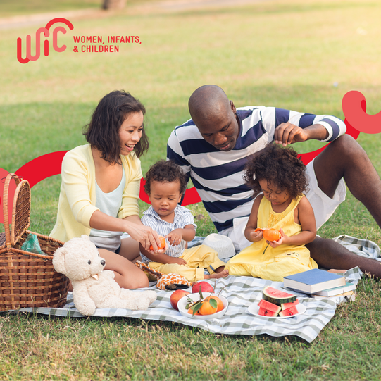 Family Picnic