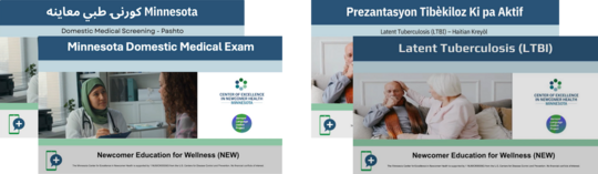 thumbnails of Minnesota Domestic Medical Exam and LTBI videos in english and other languages