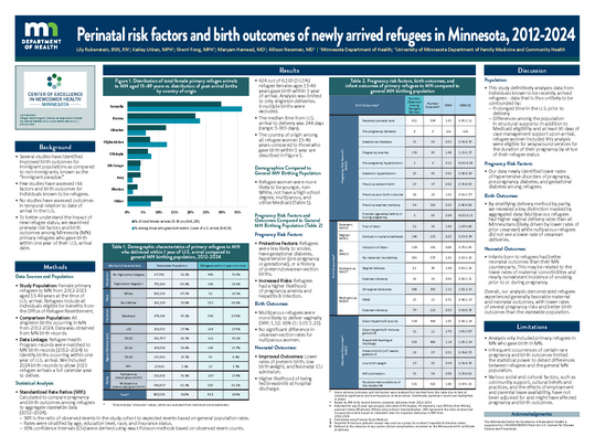 Perinatal risk factors and outcomes of newly arrived refugees in Minnesota, 2012-2023