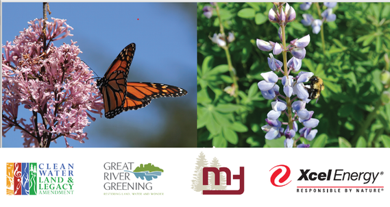 Monarch butterfly on pink blooms; bumble bee on light blue blooms, logos: Clean Water Land Legacy, Great River Greening, City of MH, Xcel Energy